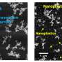 Scientists develop ultraprecise, efficient and flexible technique for counting and analyzing nanoplastics