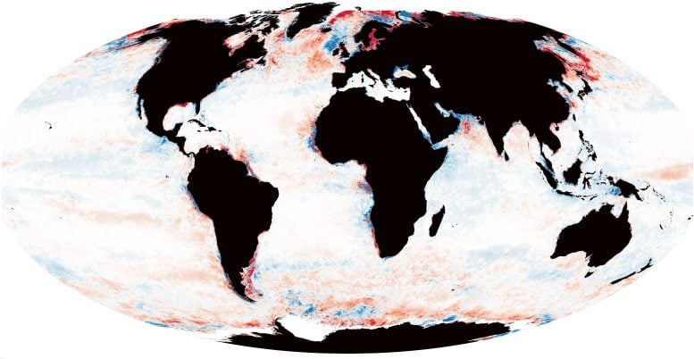 21% of the Ocean Is Losing Sunlight – What That Means for Marine Life