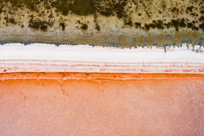 Coastal Lagoons Are Getting Turned Into Toxic “Salty Soup” – Scientists Reveal Why