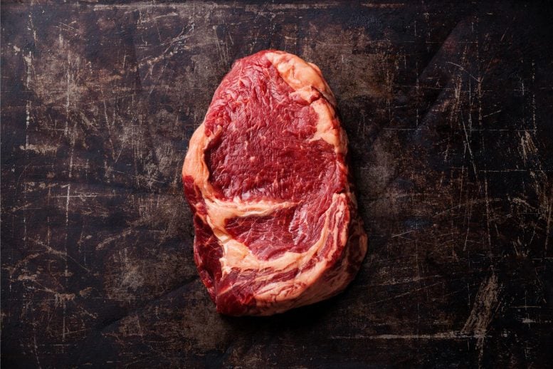 Beef Emissions Blow Past Climate Limits – Over Twice the Target