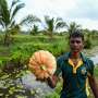 Salt of the earth: Pilot project helping reclaim Sri Lankan farms