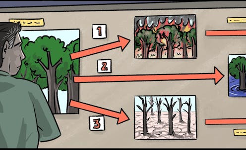 Managing forests and other ecosystems under rising threats requires thinking across wide-ranging scenarios