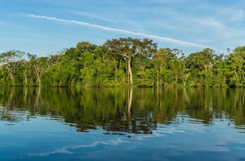 Governors are leading the fight against climate change and deforestation around the world, filling a void left by presidents
