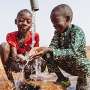 Portable sensor offers low-cost arsenic detection for safer drinking water