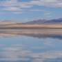 Nevada fish is the first species slated for protection in new Trump term