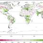 Modeling framework predicts accelerated global vegetation growth under climate change