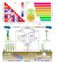 Study reveals differences in soil organic carbon levels across vegetation types