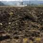 Publication reveals soil lab use, fertility findings for blackberries, row crops, forages