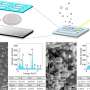 Practical new tool detects nanoplastics and microplastics in the environment