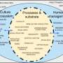 Animal culture recognized as key factor in new conservation strategies