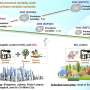 Stricter air pollution controls could prevent ozone-related early deaths