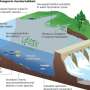 The hidden cost of hydropower: Biodiversity at risk