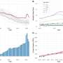 US excess deaths continue to rise even after the COVID-19 pandemic, study finds