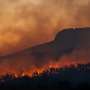 Wildfire pollution may lower survival of lung cancer patients