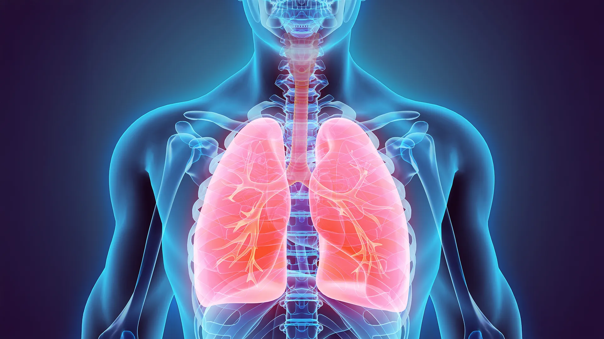 Microscopic heist: How lung bacteria forge weapons to steal iron and survive