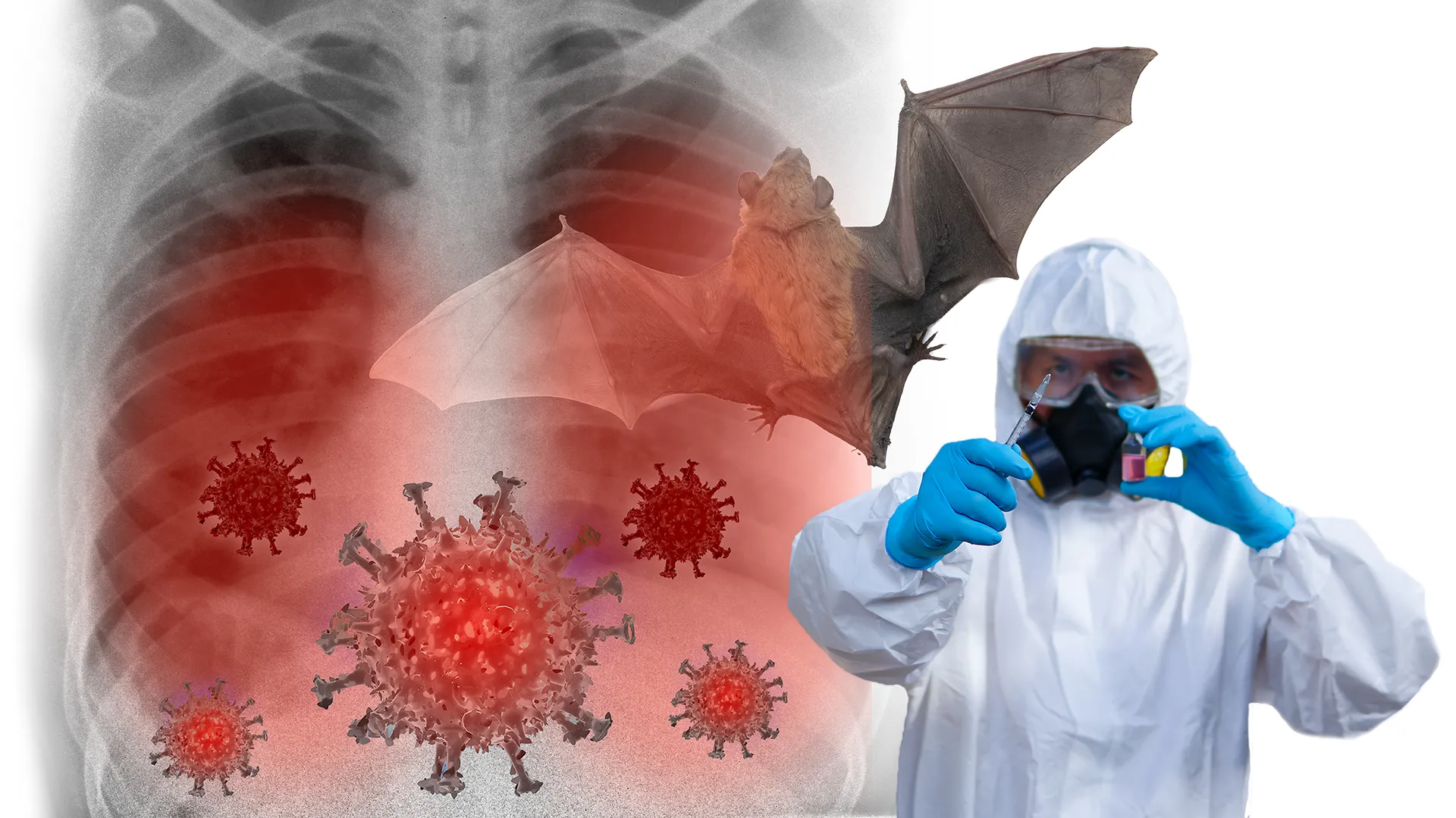 New viruses discovered in bats in China could be the next pandemic threat