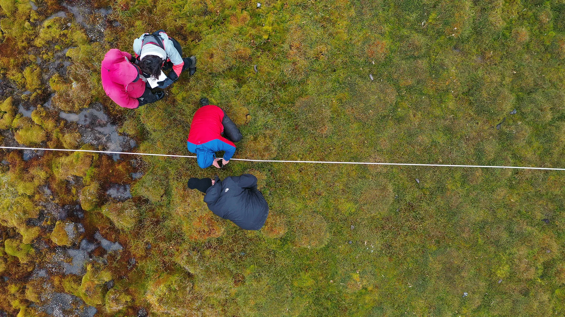 Hidden carbon giants: Satellite data reveals a 40-year Arctic peatland surge