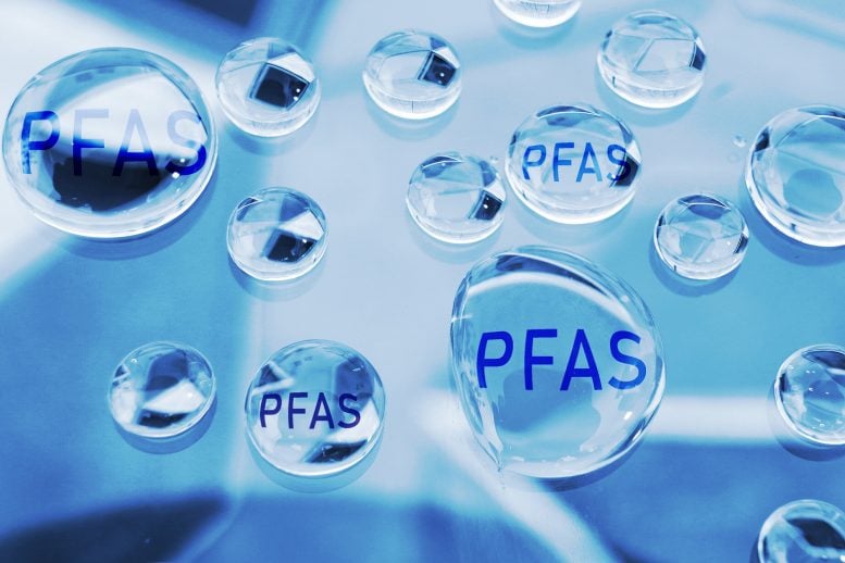 Scientists Discover Bacteria That Devour Toxic “Forever Chemicals”