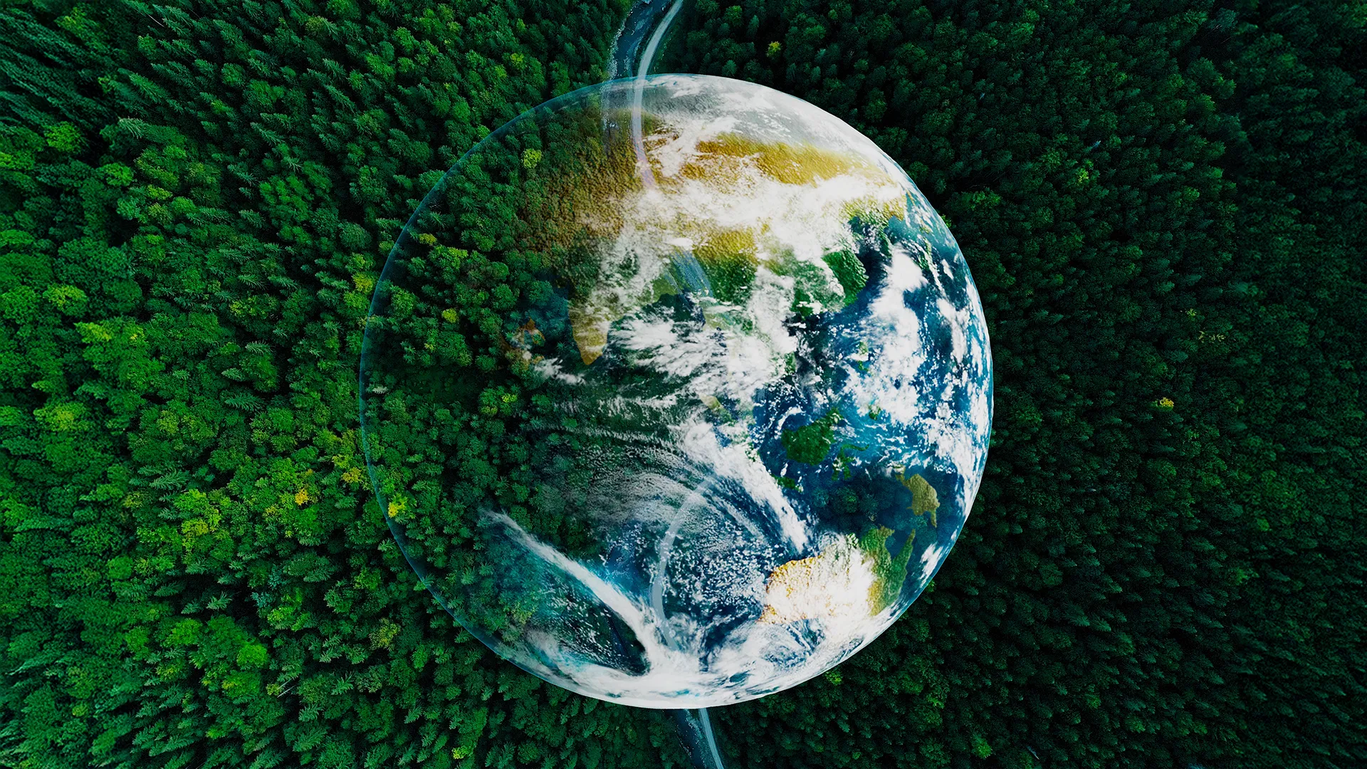 The global rule that predicts where life thrives—and where it fails