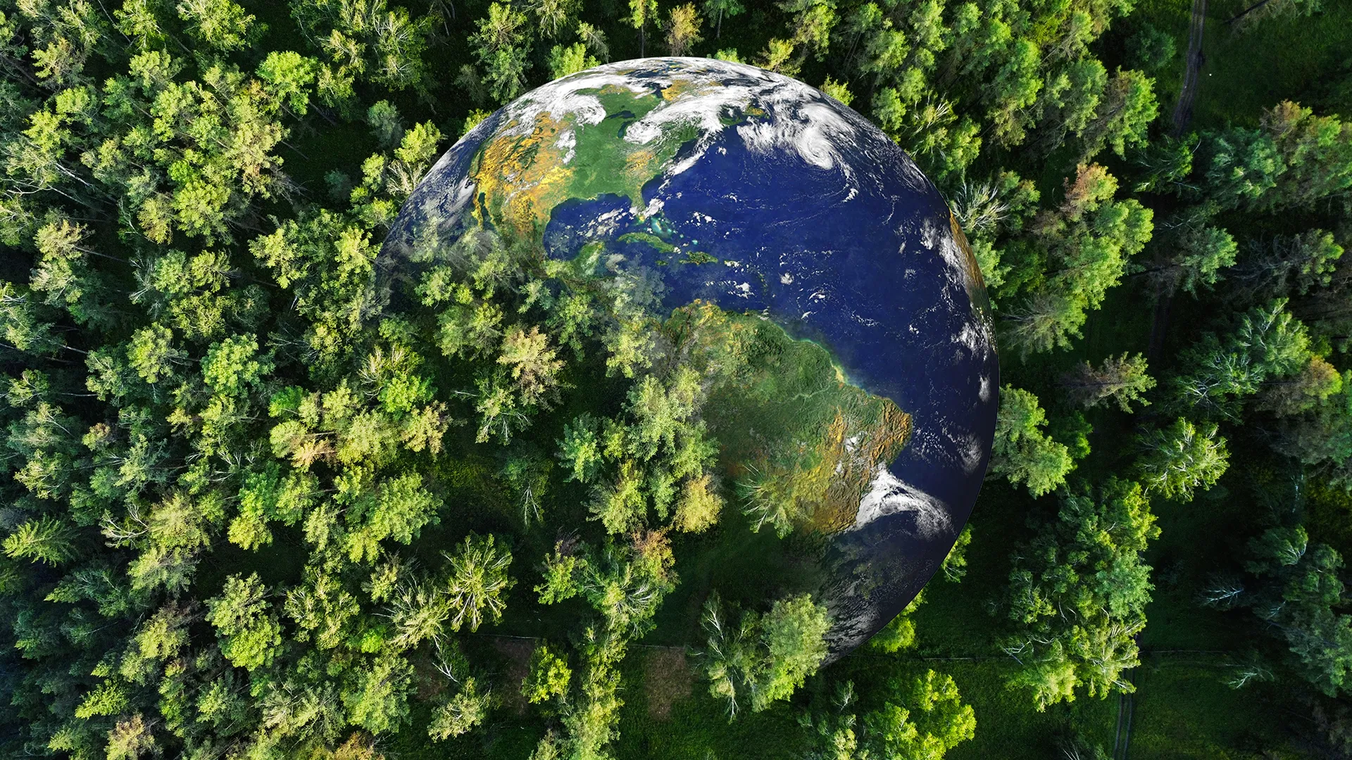 Space-laser AI maps forest carbon in minutes—a game-changer for climate science