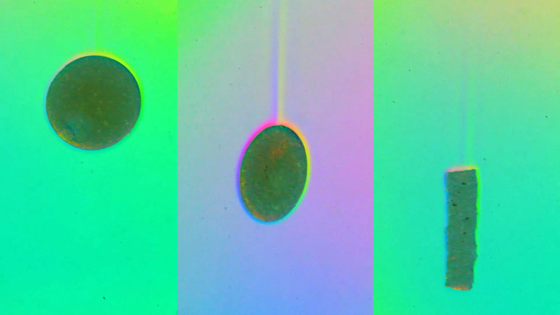 Gravity, flipped: How tiny, porous particles sink faster in ocean snowstorms