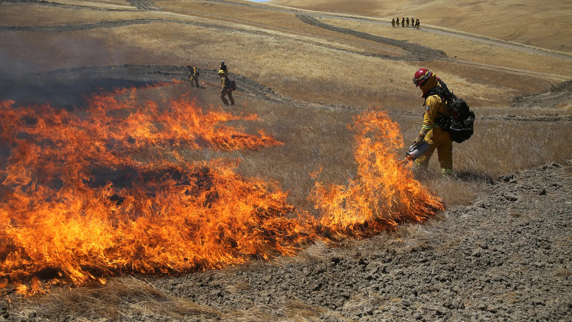 Fighting fire with fire: How prescribed burns reduce wildfire damage and pollution