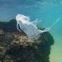 Nations call for strong plastics treaty as difficult talks loom