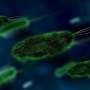 Infectious diseases experts raise alarm about antifungal resistance, call for global effort
