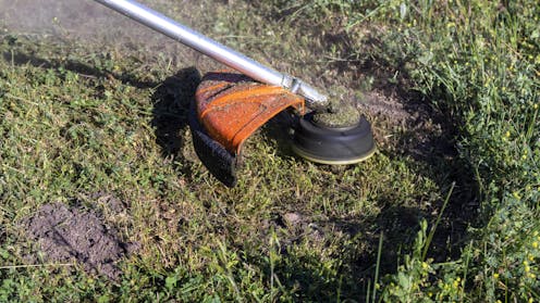 What Trump’s budget proposal says about his environmental values