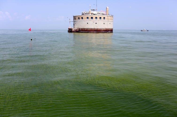Toxic algae blooms are lasting longer than before in Lake Erie − why that’s a worry for people and pets