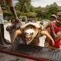 Kenya NGO saves turtles from nets, plastic and rising tides