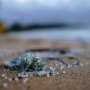 Microplastics are everywhere—but our methods to track them are all over the place