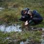 Mapping Ireland’s peatlands to help cut carbon emissions