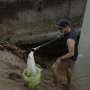 Plastic bag bans help: Study finds up to 47% drop in shoreline bag litter