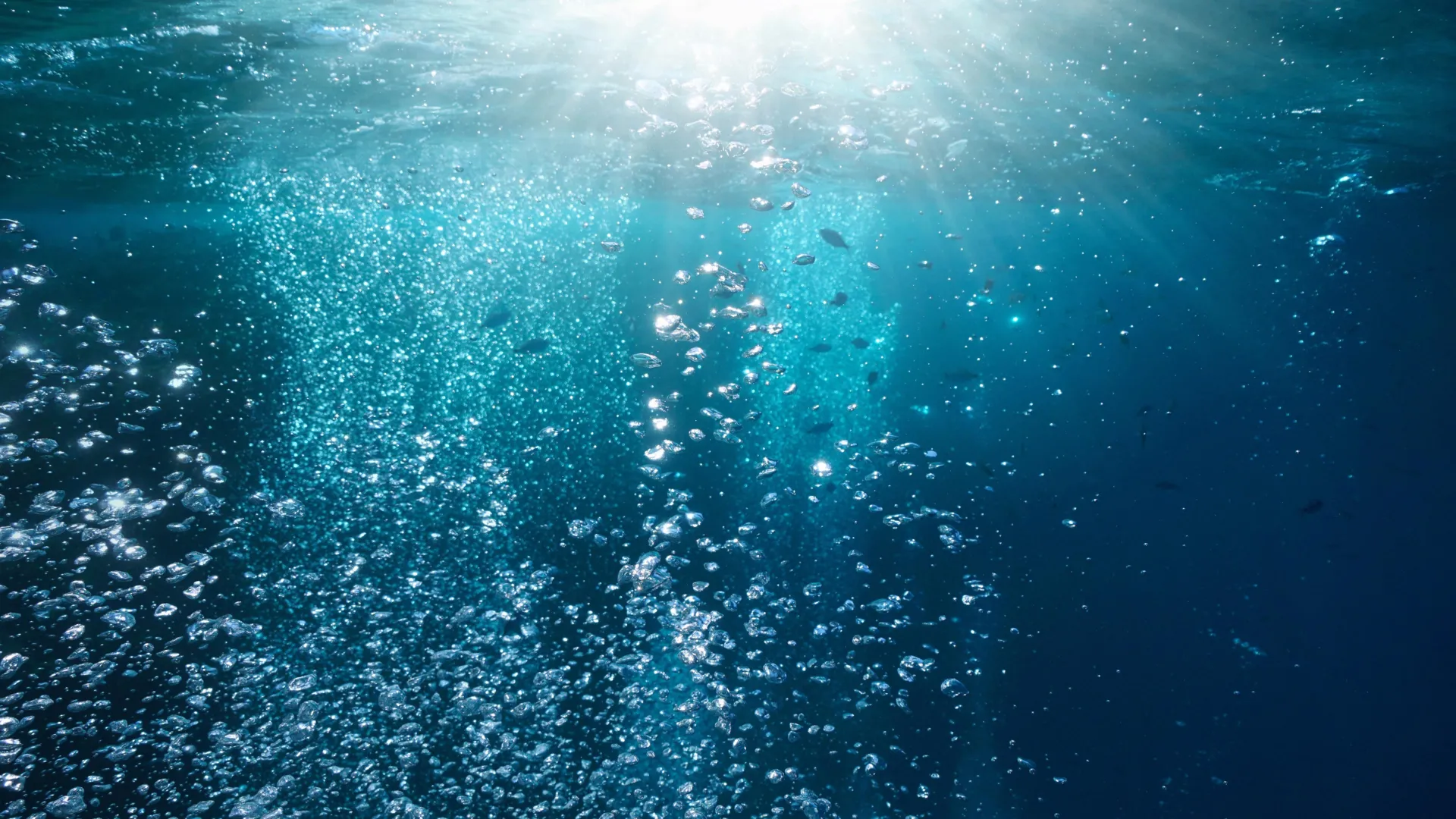 Ancient carbon ‘burps’ caused ocean oxygen crashes — and we’re repeating the mistake