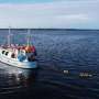 Ailing Baltic Sea in need of urgent attention