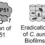 Antifungal discovery offers hope against deadly drug-resistant infections