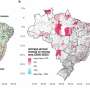 Exploring the economic promise and environmental costs of mining in Brazil