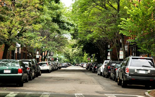 Urban trees vs. cool roofs: What’s the best way for cities to beat the heat?
