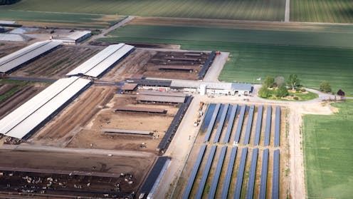 California farmers identify a hot new cash crop: Solar power