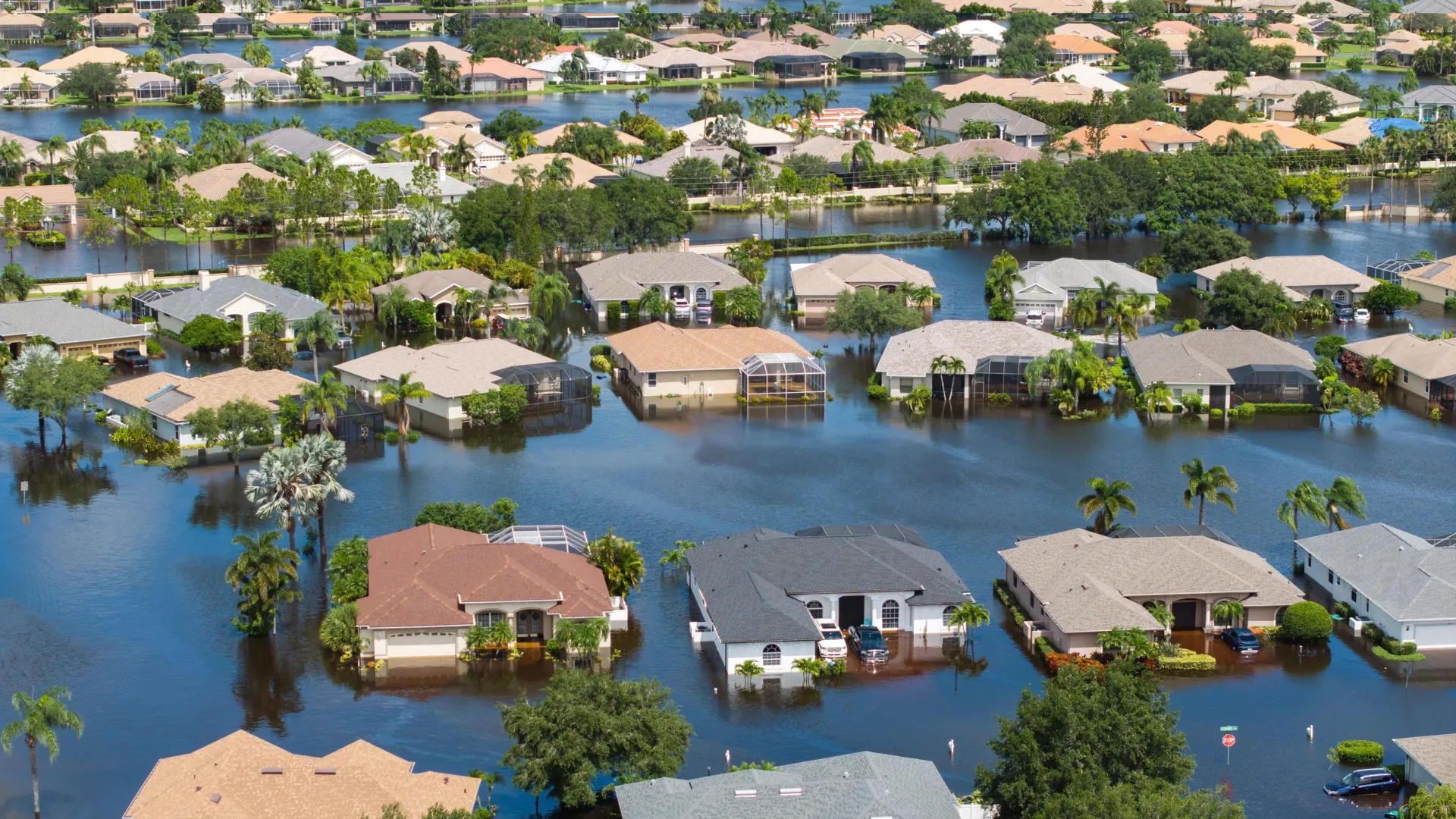 18x more floods, 105% bigger storms — all from a single clear-cut