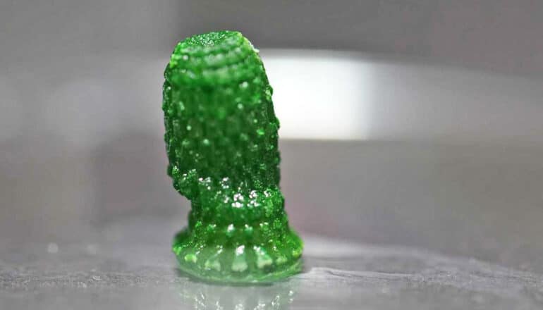 Living building material sucks CO2 out of the air