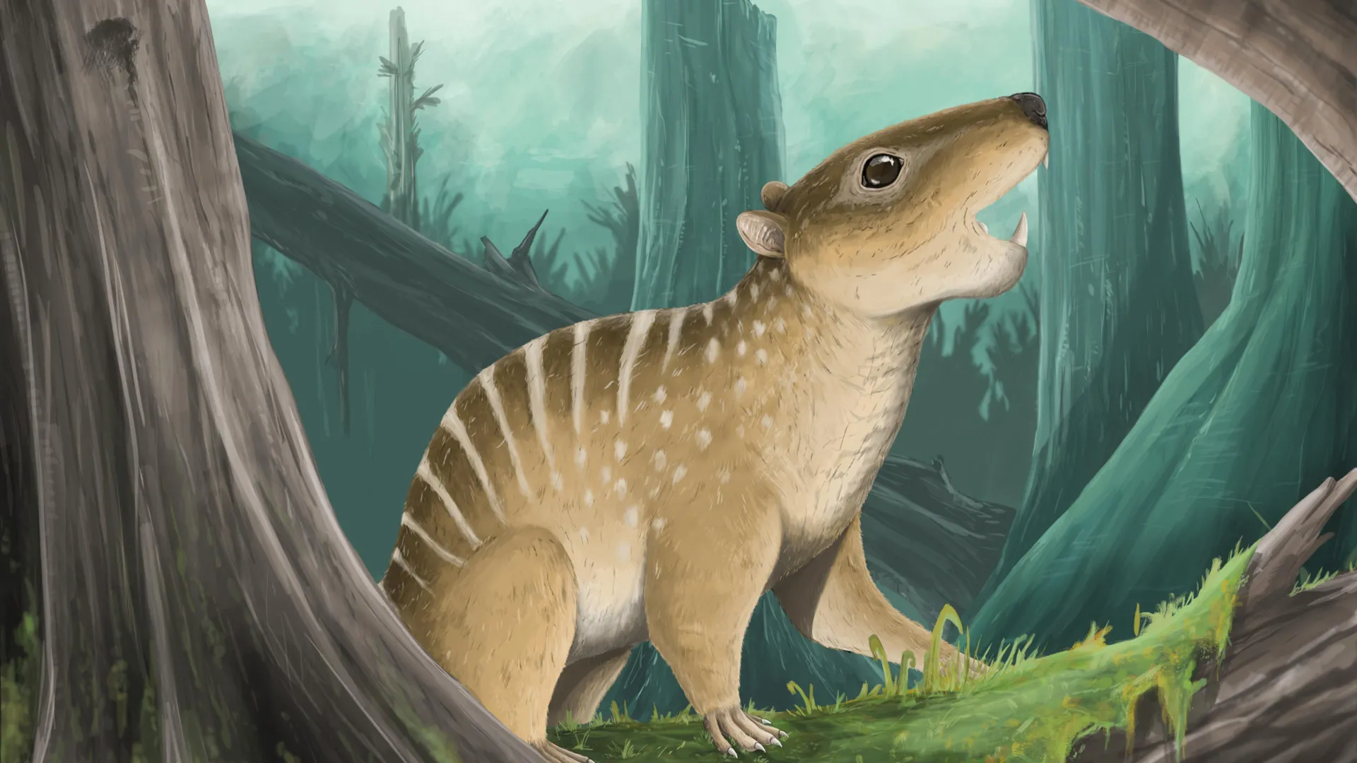 Tiny fossil with razor teeth found by student — rewrites mammal history