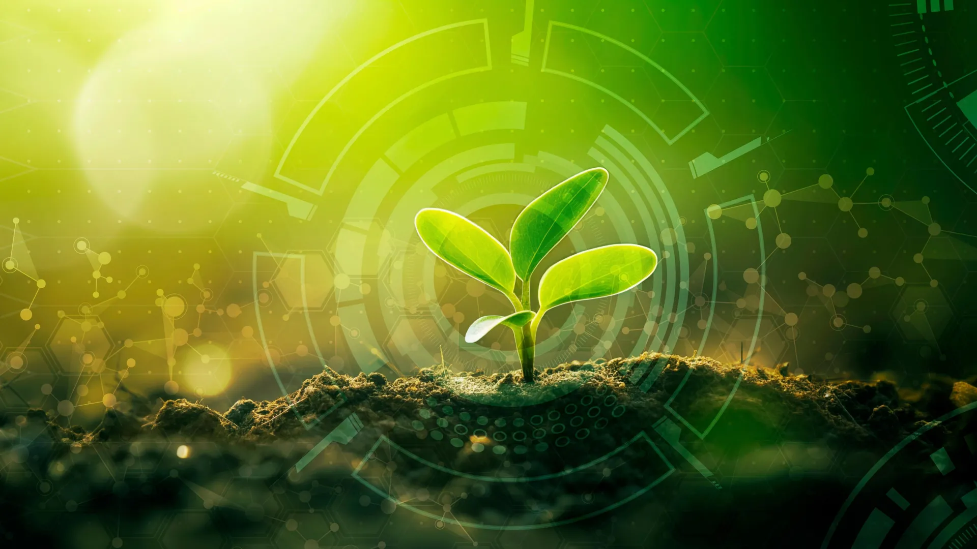 How AI is supercharging plant immunity to fight deadly bacteria