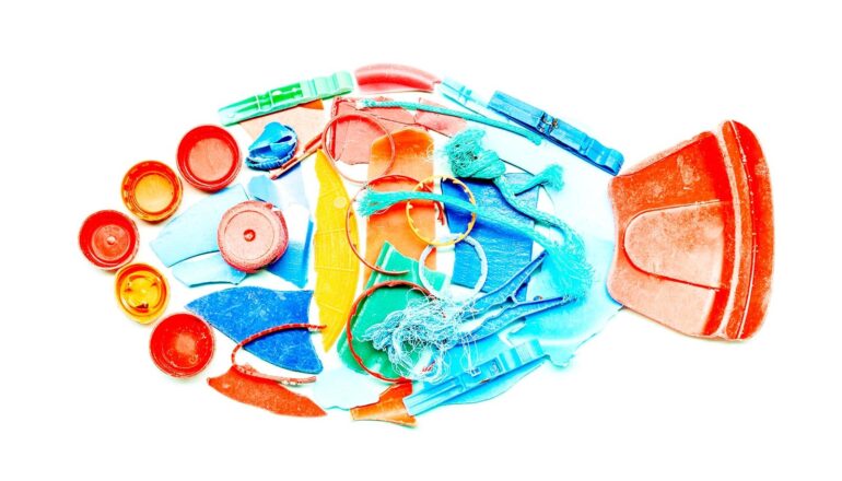 How can we stop plastic pollution flowing from rivers to oceans?