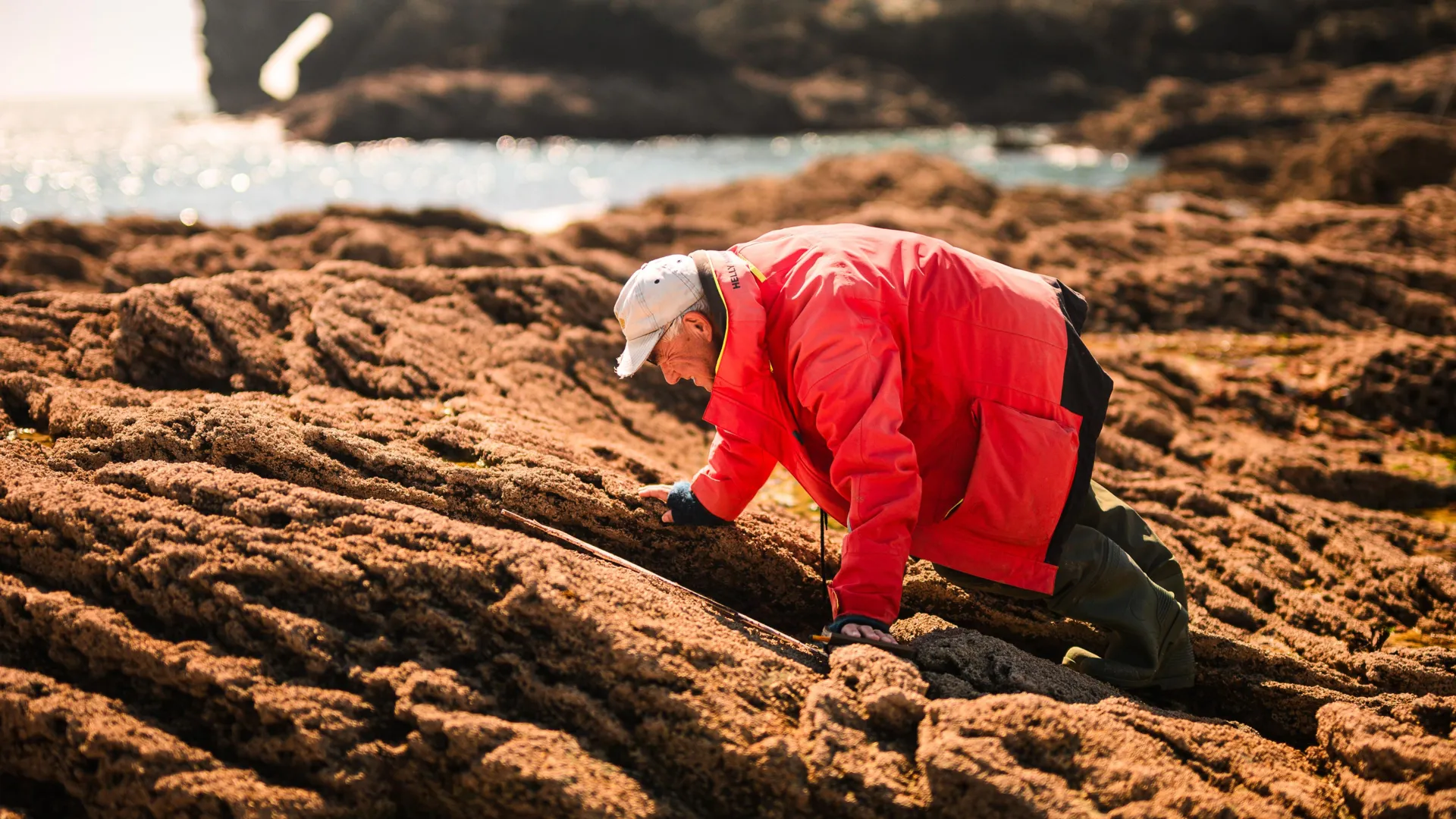 25 years, 1 coastline report card: The shocking wins and misses