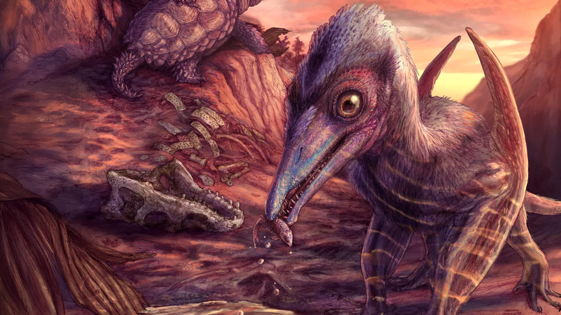North america’s oldest pterosaur unearthed in Arizona’s Triassic time capsule