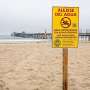 Researchers unveil user-friendly tool to alert beachgoers to contamination
