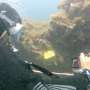 Researching heat waves in the ocean: Divers collect temperature data