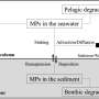 Transport and mass budget of biodegradable microplastics in the Seto Inland Sea